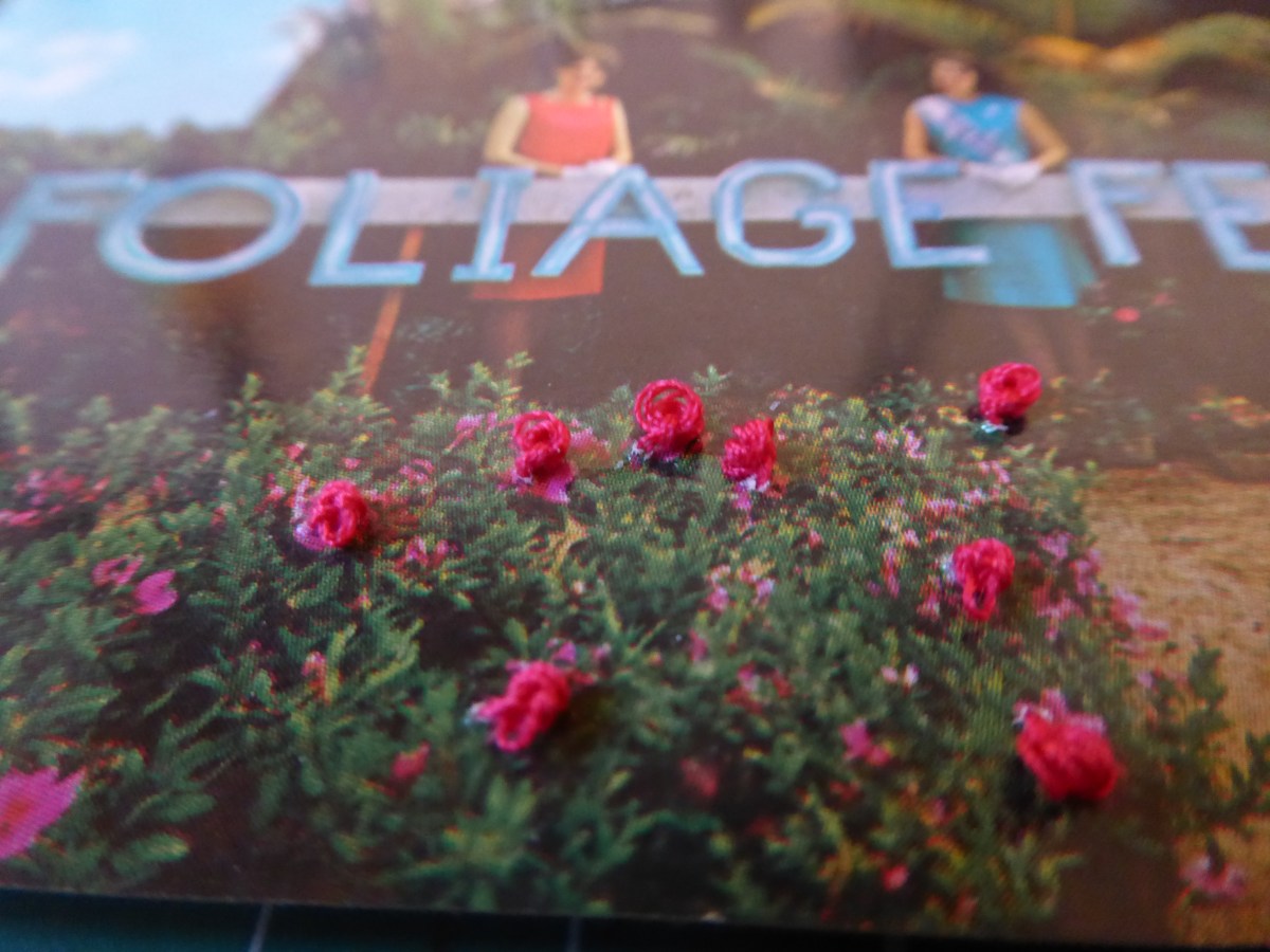 My vessel of&nbsp;escapism